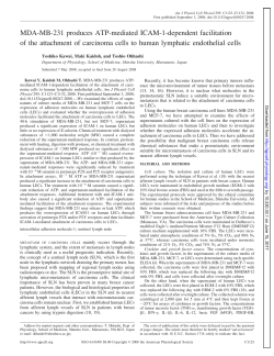 MDA-MB-231 produces ATP-mediated ICAM-1 - AJP-Cell