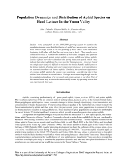 Population Dynamics and Distribution of Aphid Species on Head