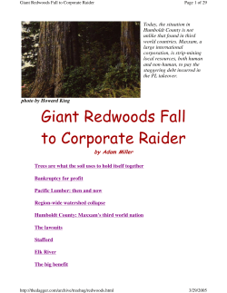 Giant Redwoods Fall to Corporate Raider