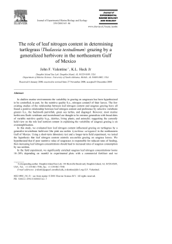 The role of leaf nitrogen content in determining ž / turtlegrass