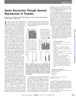 Queen Succession Through Asexual Reproduction in Termites