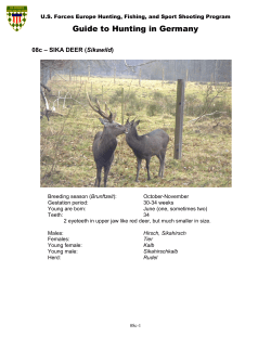 Guide to Hunting in Germany