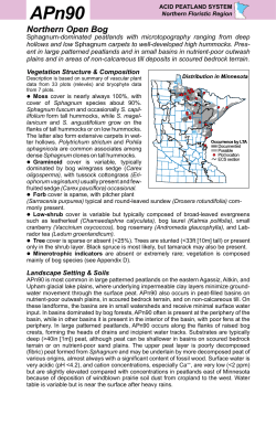 Open Bog - Minnesota DNR