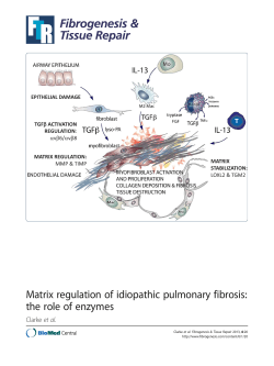 Matrix regulation of idiopathic pulmonary fibrosis: the role of enzymes