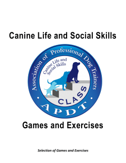 Canine Life and Social Skills Games and Exercises