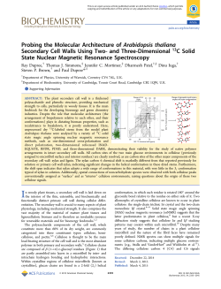 Probing the Molecular Architecture of Arabidopsis thaliana