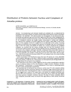Distribution of Proteins between Nucleus