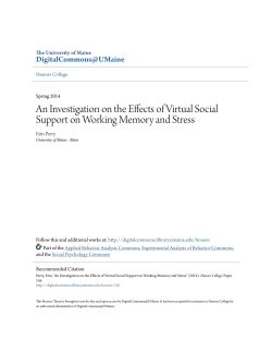 An Investigation on the Effects of Virtual Social Support on Working