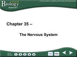 Prentice Hall Biology
