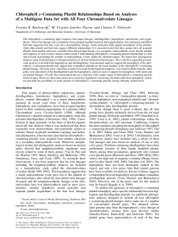Chlorophyll c&ndash;Containing Plastid Relationships