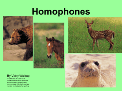 Homophones 2.ppt