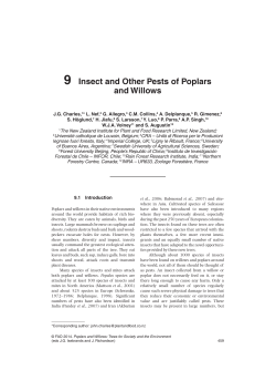 Poplars and Willows - Food and Agriculture Organization of the