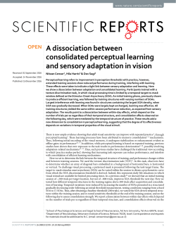 A dissociation between consolidated perceptual