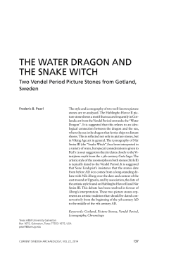 the water dragon and the snake witch