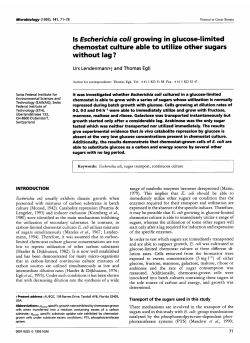 Is Escherichia coli growing in glucose-limited