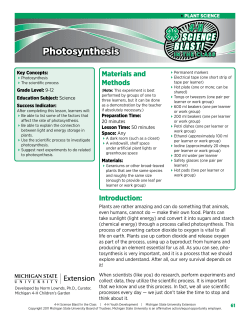 Photosynthesis - MSU Extension