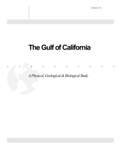 The Gulf of California - The University of Texas at Dallas