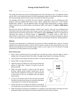 Energy in the Food We Eat