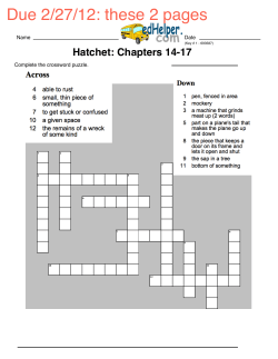 Hatchet: Chapters 14-17