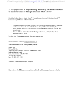 E. coli populations in unpredictably fluctuating environments evolve