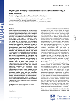 this PDF file - University of Manitoba