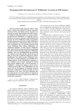 Deepening inside the homonyms of `Wildbacher` by - Vitis-vea