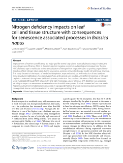Nitrogen deficiency impacts on leaf cell and tissue structure with