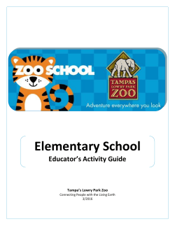 Elementary School - Tampa`s Lowry Park Zoo
