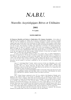 N.A.B.U.