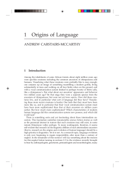 1 Origins of Language