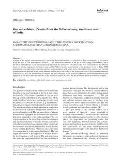 Gut microbiota of crabs from the Vellar estuary, southeast coast