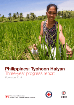 Philippines: Typhoon Haiyan Three-year progress report
