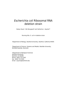 Escherichia coli Ribosomal RNA deletion strain