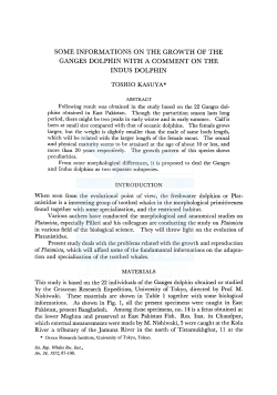 some informations on the growth of the ganges dolphin with a