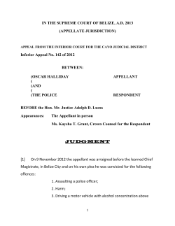 IN THE SUPREME COURT OF BELIZE, A.D. 2013 (APPELLATE