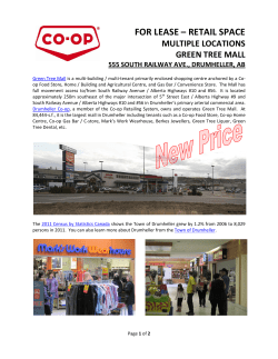 GREEN TREE MALL, DRUMHELLER RETAIL SPACE FOR LEASE