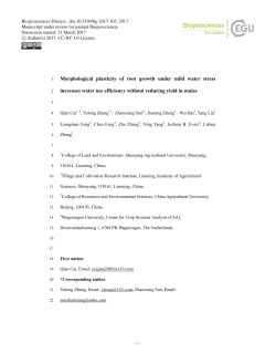 Morphological plasticity of root growth under mild water stress
