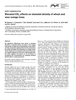Elevated CO2 effects on stomatal density of wheat and sour orange