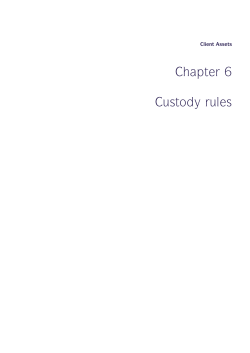 Chapter 6 Custody rules