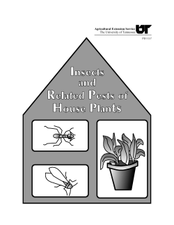 Insects and Related Pests of House Plants