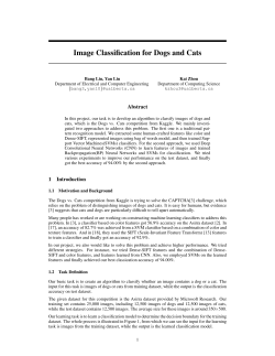 Image Classification for Dogs and Cats