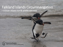 Falkland Islands Dec 3