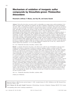 Mechanism of oxidation of inorganic sulfur compounds by thiosulfate
