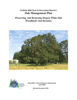 Oak Management Plan