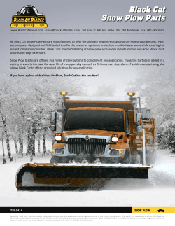 Black Cat Snow Plow Parts