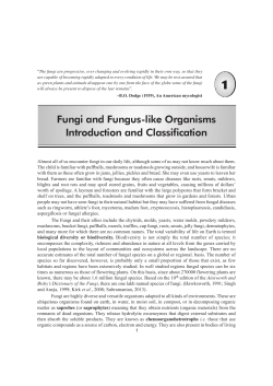 Fungi and Fungus-like Organisms Introduction and