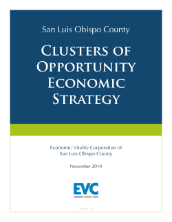 Clusters of Opportunity Economic Strategy