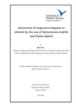 Conversion of sugarcane bagasse to ethanol by