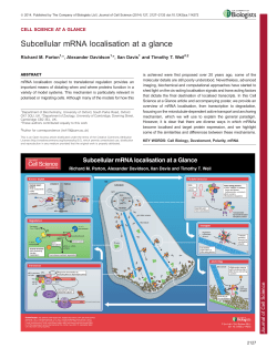 Subcellular mRNA localisation at a glance