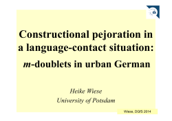 Constructional pejoration in a language